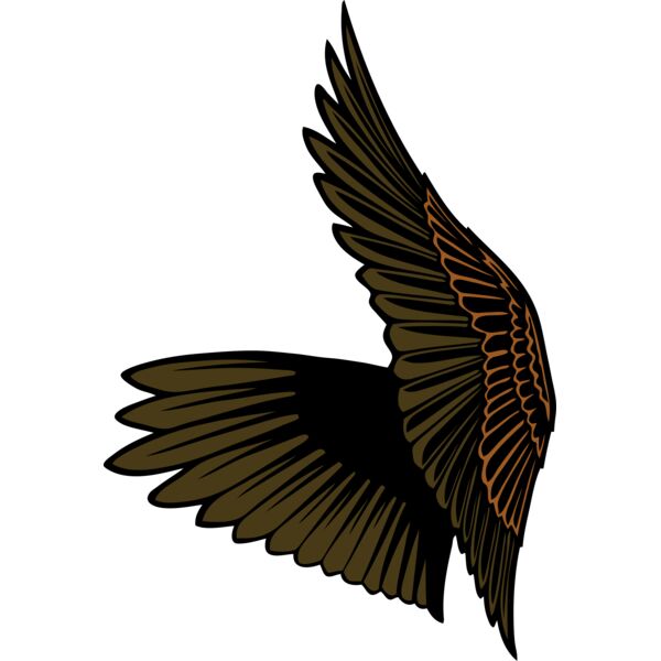 ESwings028clr Thumbnail