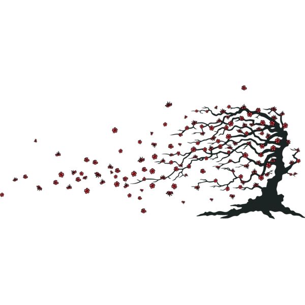 cherrytree01clr Thumbnail