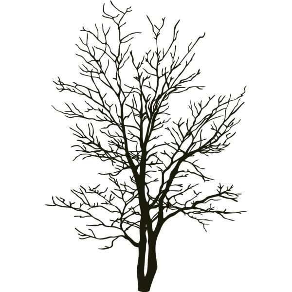 es2tree007clr Thumbnail