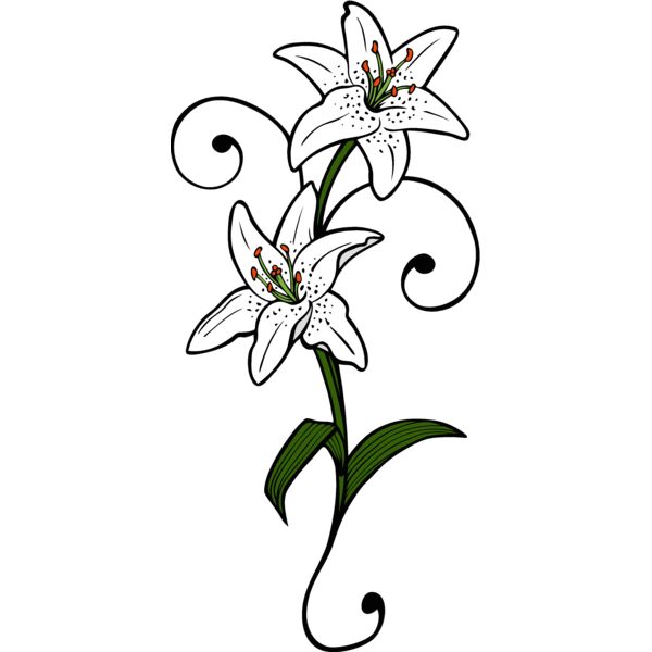 es2flower007clr Thumbnail