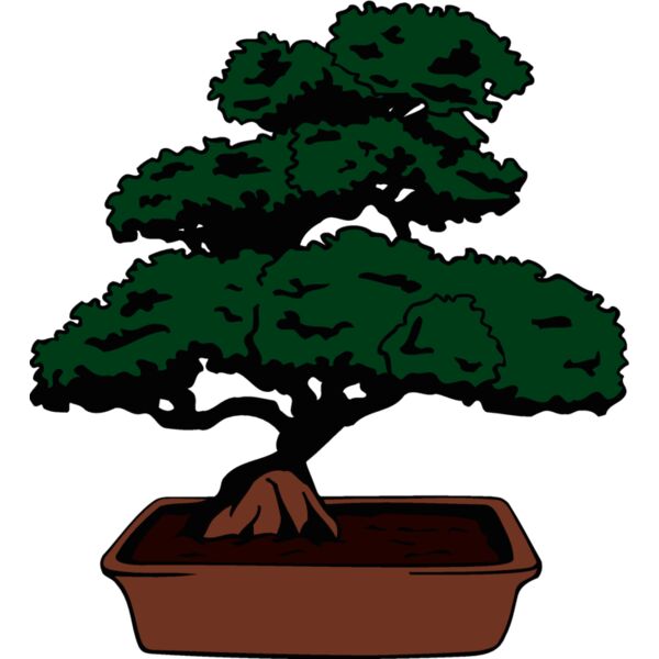 bonsai1 Thumbnail
