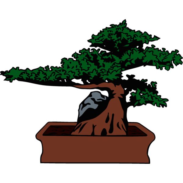 bonsai2 Thumbnail