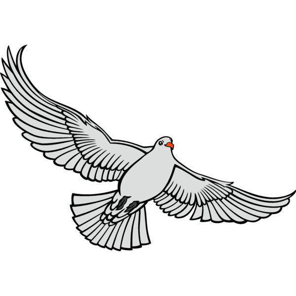 es3dove01clr Thumbnail