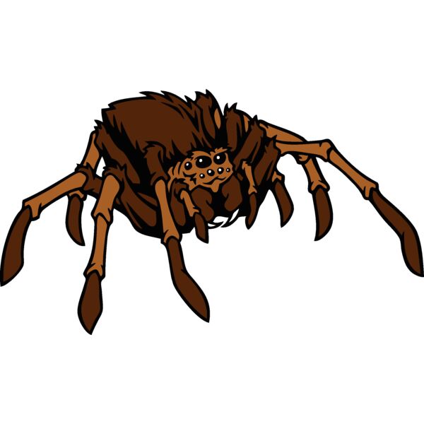 esspider001clr Thumbnail