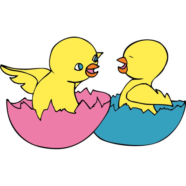chicks2 Thumbnail