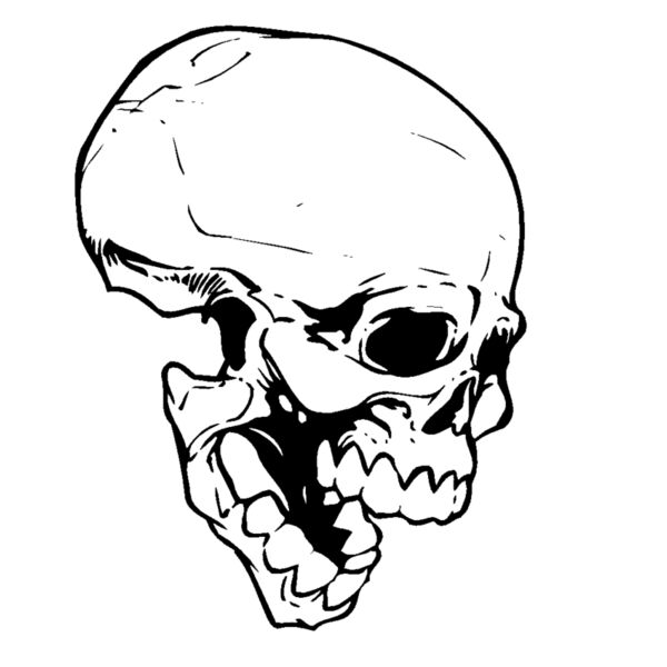 skull Thumbnail