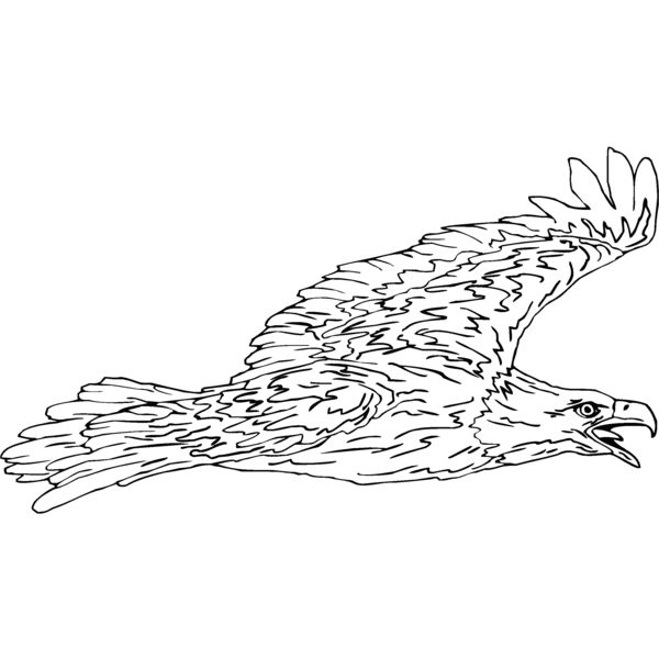 eagle6 Thumbnail