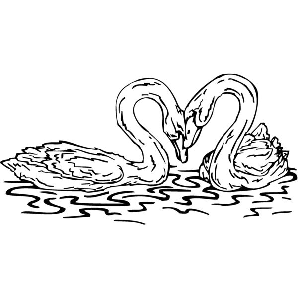 swans Thumbnail