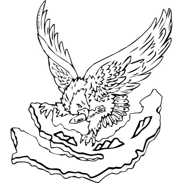 eagle22 Thumbnail