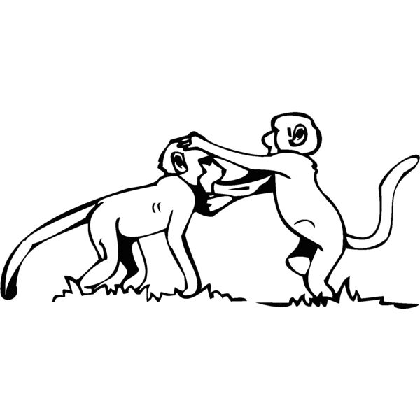 babybaboons Thumbnail