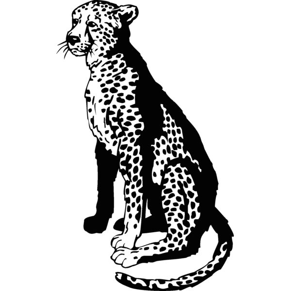 cheetah3 Thumbnail