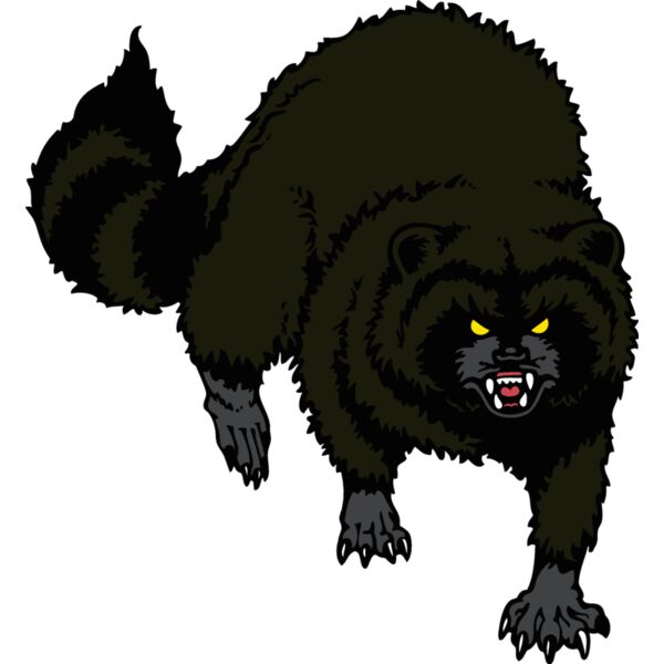 raccoon01v4clr Thumbnail