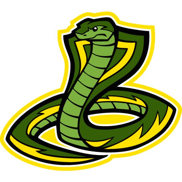 cbrasnkjk07 Thumbnail