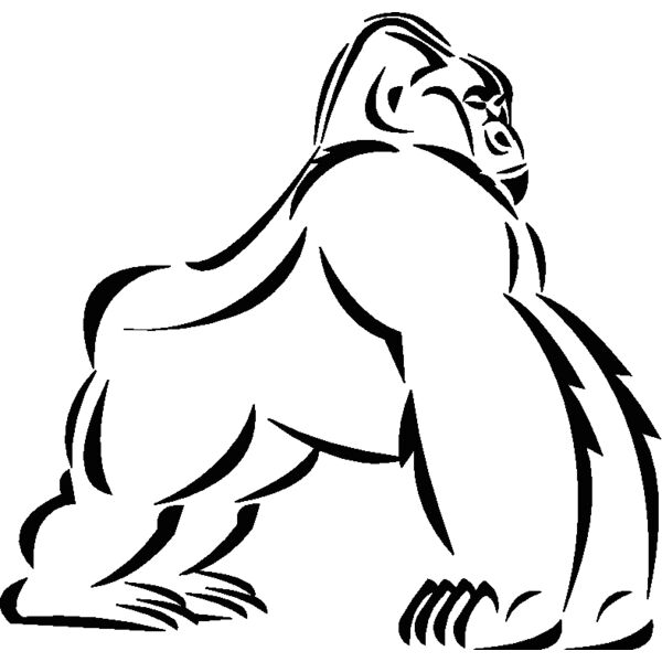 gorillatribal Thumbnail