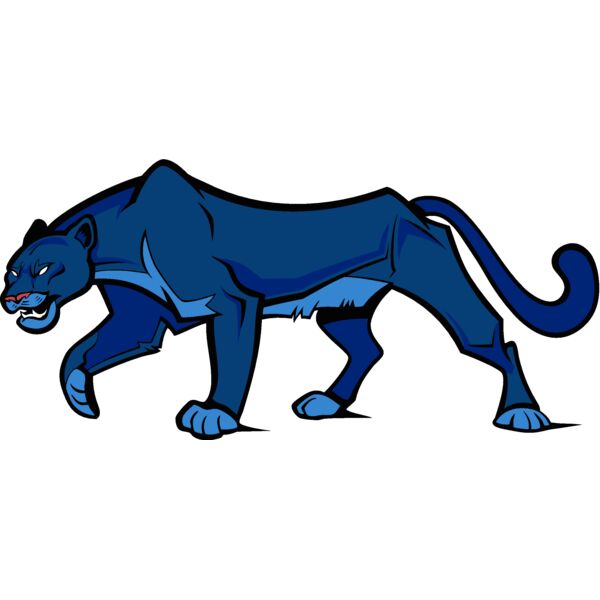 cougar08v4clr Thumbnail