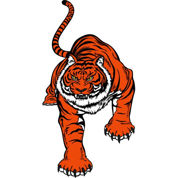 tiger01v4clr Thumbnail