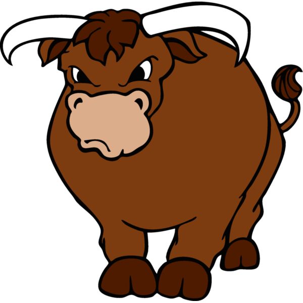 bullmsct05 Thumbnail