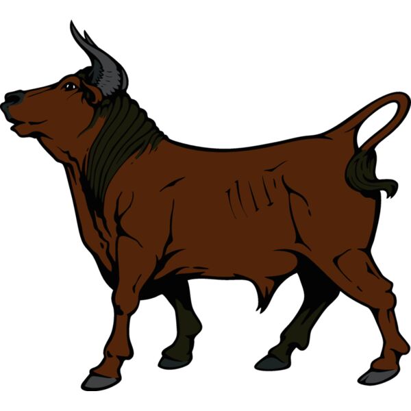 bull10v4clr Thumbnail