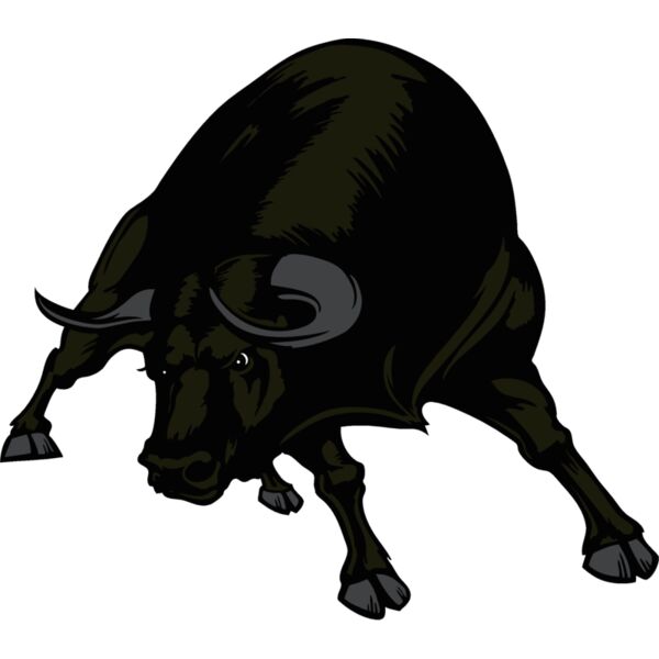 bull01v4clr Thumbnail