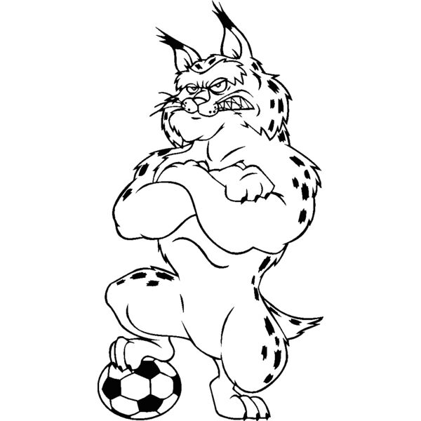 bobcatscrbns Thumbnail