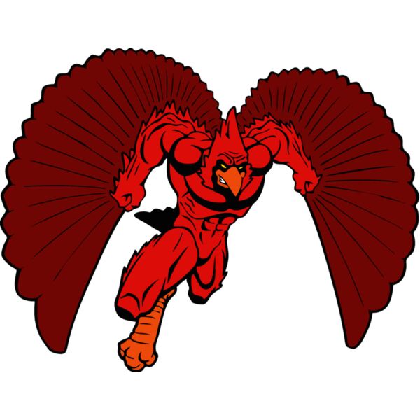 cardinalmn4 Thumbnail