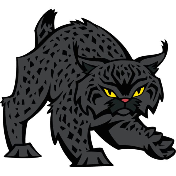 wildcat09v4clr Thumbnail